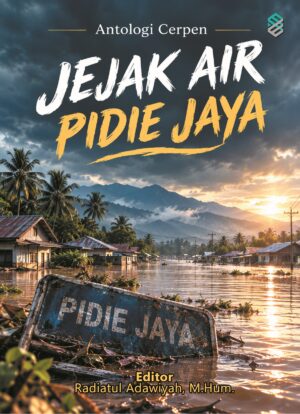 Jejak Air Pidie Jaya